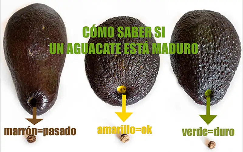 ¿Cómo seleccionar el aguacate perfecto en el supermercado?