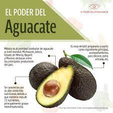 ¿Cuáles son los nutrientes clave presentes en el aguacate?