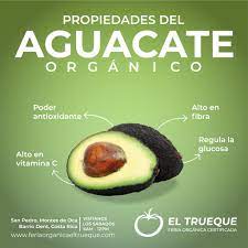 ¿Cuáles son las características de los aguacates orgánicos?